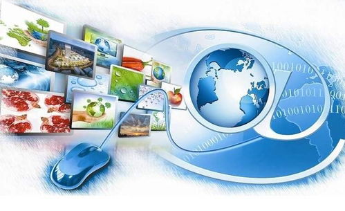 上海到洛阳生物制品冷链物流优选指南