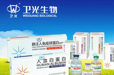 广东国资改革龙头股排行榜深度分析