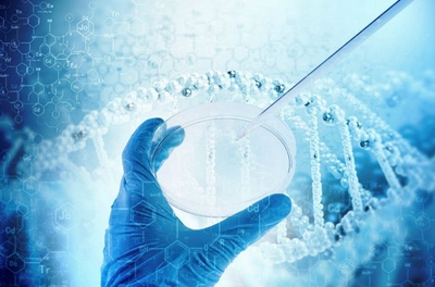 生物制品进口报关费用解析 全球进口门到门一站式服务指南